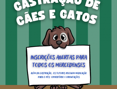Inscrições para castrar cães e gatos estão abertas para todos os mercedenses